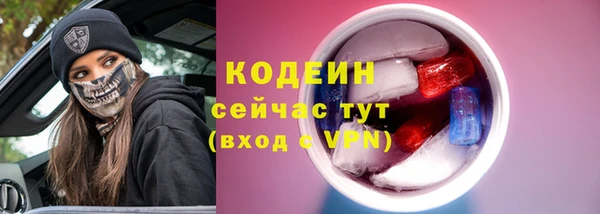 спиды Ладушкин