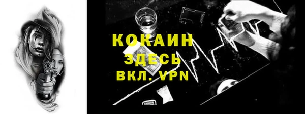 спиды Ладушкин