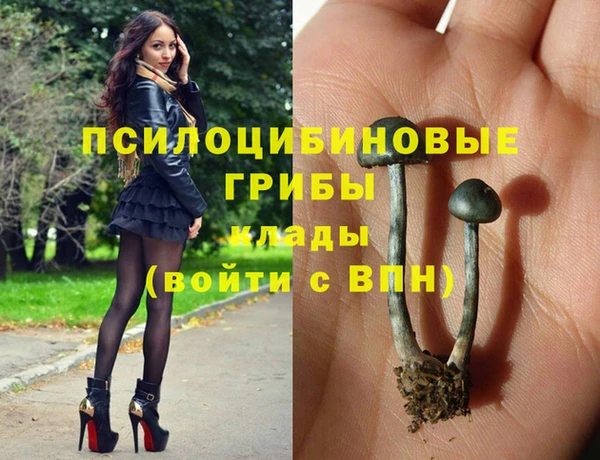 спиды Ладушкин