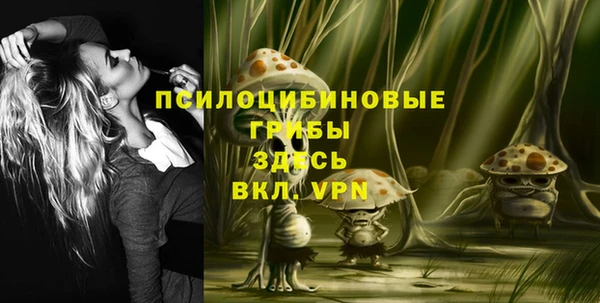 гидропоника Лабытнанги