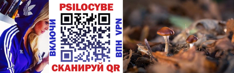 Купить  Суровикино  Псилоцибиновые грибы Cubensis 
